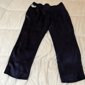 Aritzia Babaton Cohen Pant